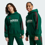 Детский рюкзак Tiro Nations с капюшоном Adidas, цвет Dark Green/Collegiate Burgundy/Cloud White - фото