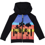 Худи Appaman Palms Downtown Hoodie, черный - фото