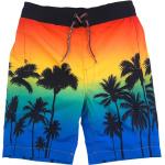 Плавки Appaman Upf 50 Swim Trunks, цвет Ombre Palms - фото 2