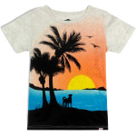 Футболка Appaman Short Sleeve Tee - Sunrise, цвет Cloud Heather - фото 2