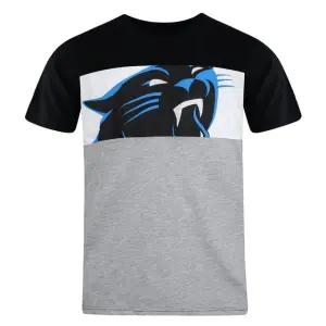 Мужская футболка с панелями Fanatics NFL Carolina Panthers Fanatics, мультиколор